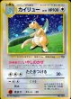 画像1: カイリュー Lv.41 GB (1)